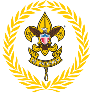 Commissioner Service